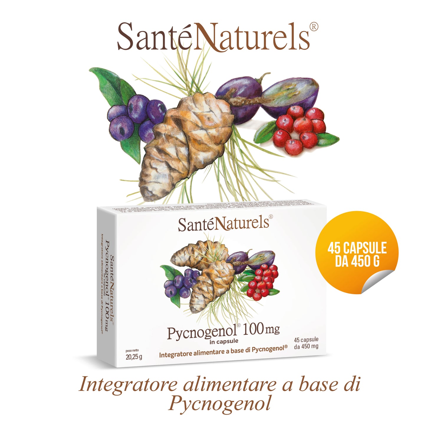 Pycnogenol® 100 mg per occhi, pressione, articolazioni, circolazione, gambe pesanti, menopausa
