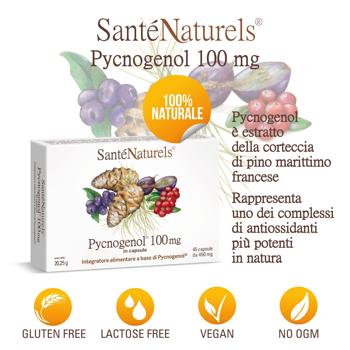 Pycnogenol® 100 mg per occhi, pressione, articolazioni, circolazione, gambe pesanti, menopausa