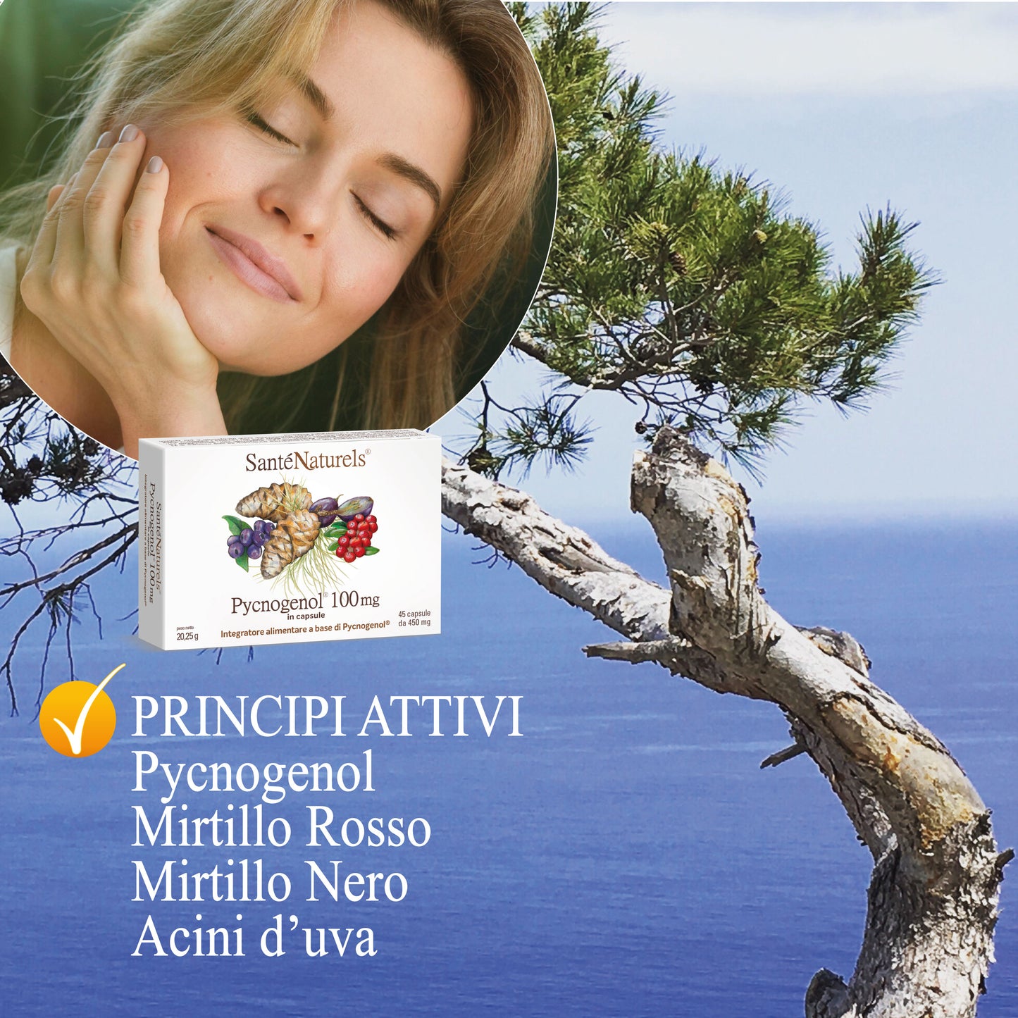 Pycnogenol® 100 mg per occhi, pressione, articolazioni, circolazione, gambe pesanti, menopausa