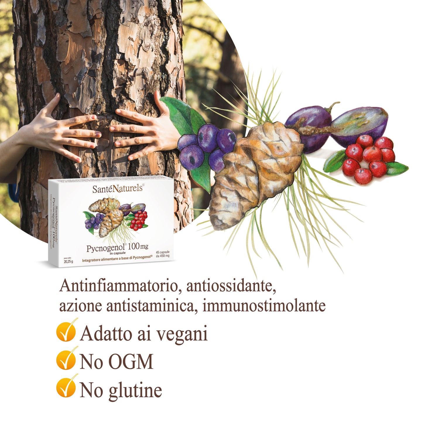 Pycnogenol® 100 mg per occhi, pressione, articolazioni, circolazione, gambe pesanti, menopausa