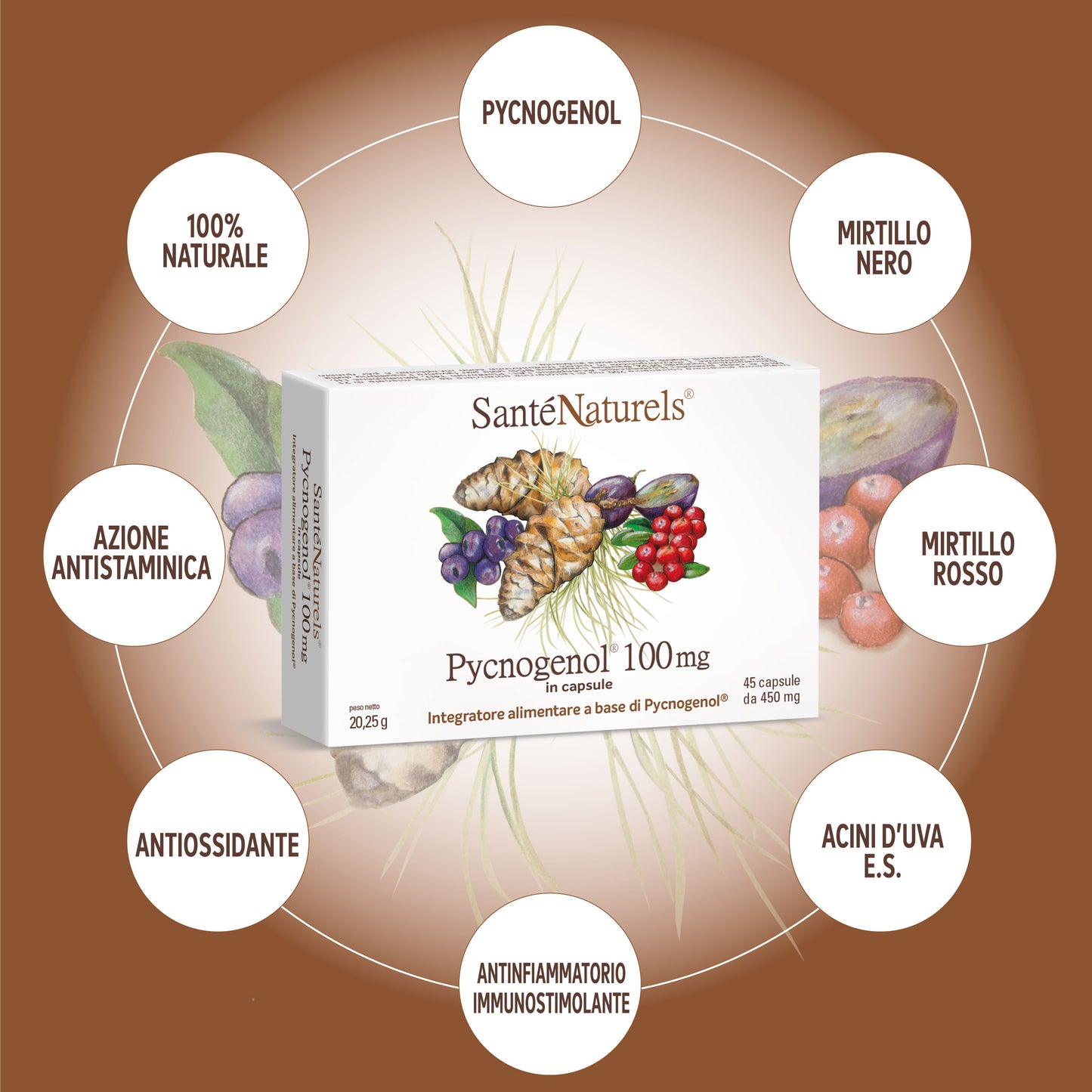 Pycnogenol® 100 mg per occhi, pressione, articolazioni, circolazione, gambe pesanti, menopausa