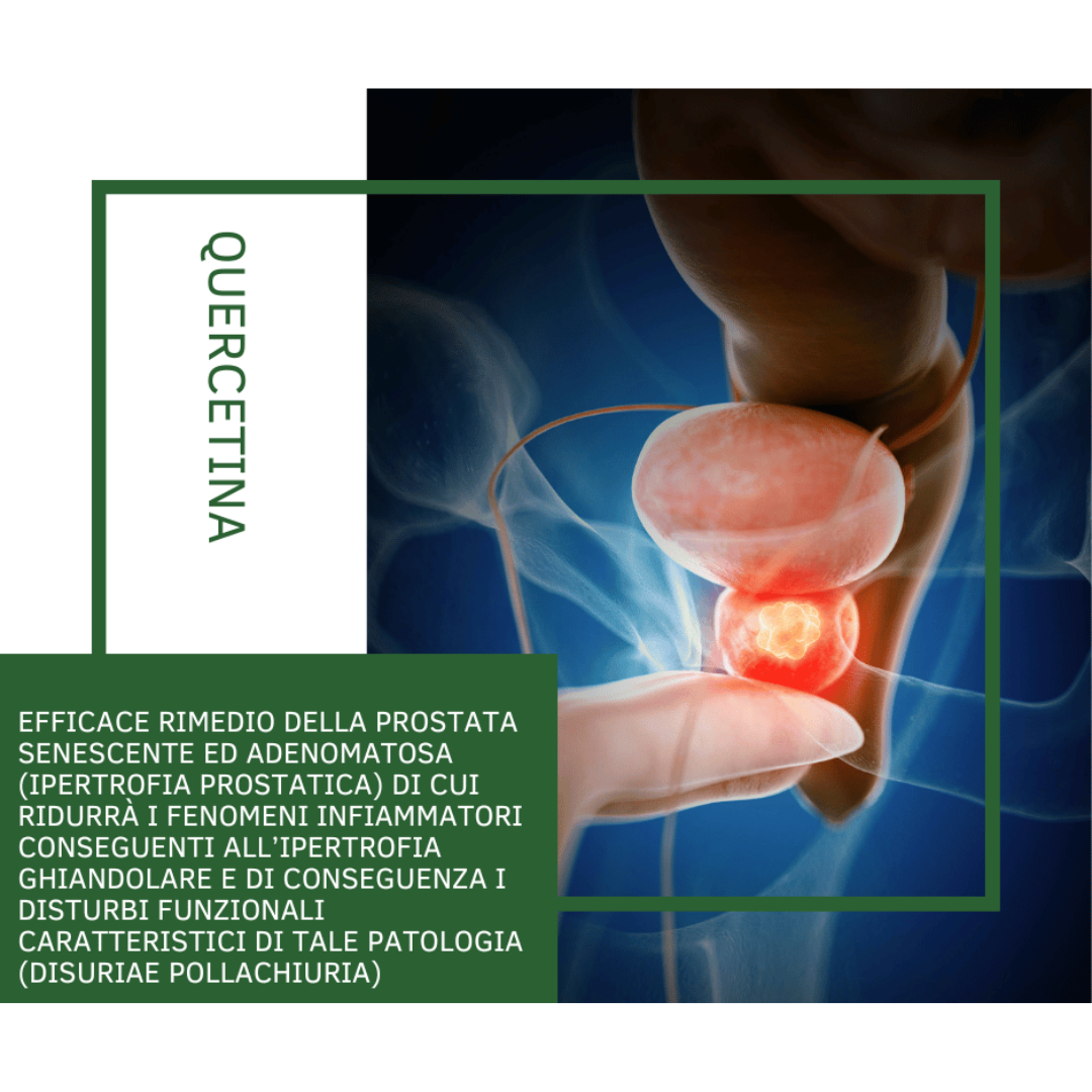 1 pack Prostate Prime 90 Vegetable Capsules of 450 mg
