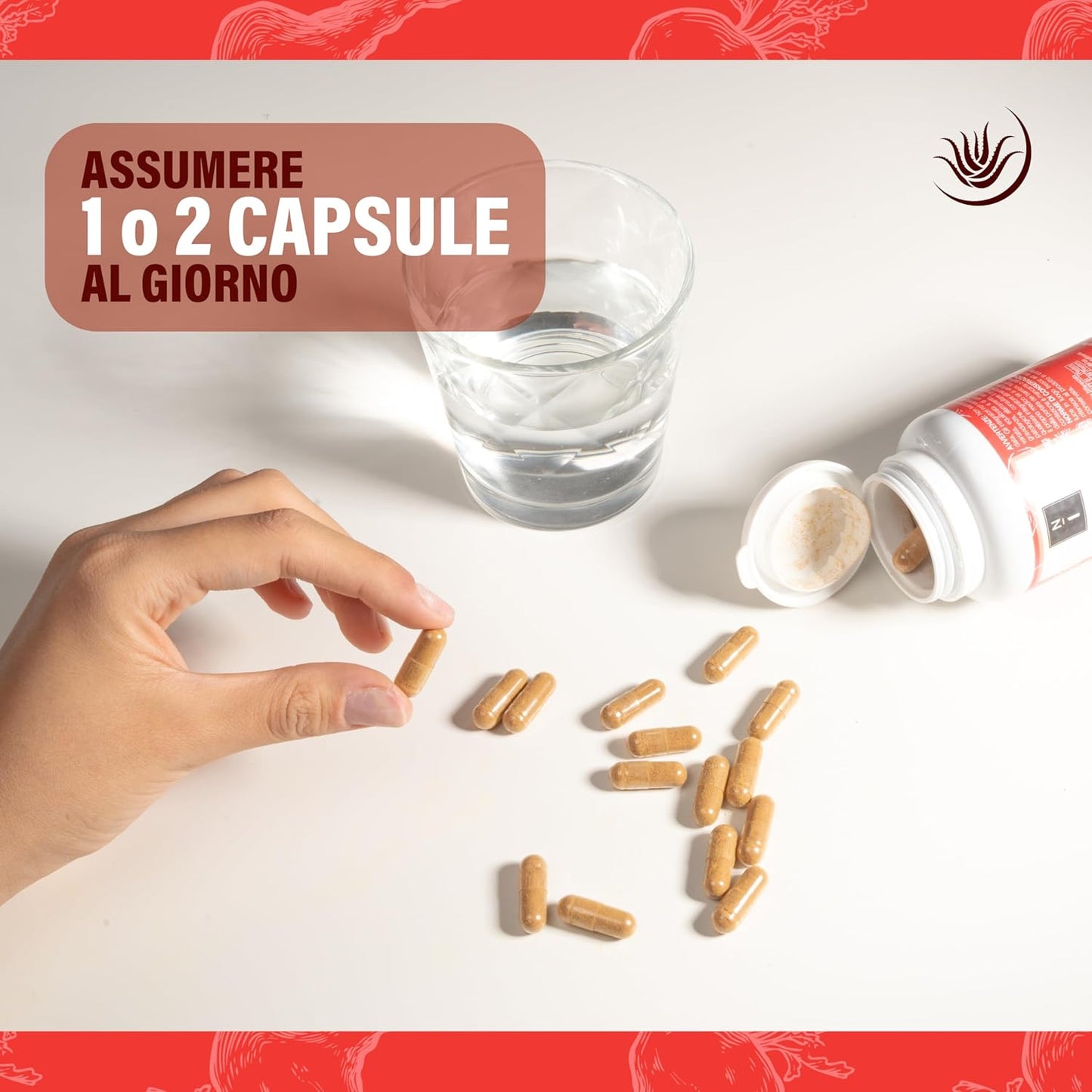 Maca Peruviana: Energia Pura per Corpo e Mente. Estratto 20:1