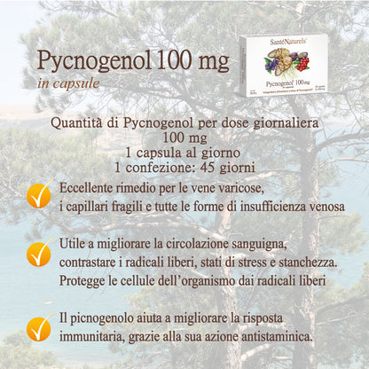 Pycnogenol® 100 mg per occhi, pressione, articolazioni, circolazione, gambe pesanti, menopausa