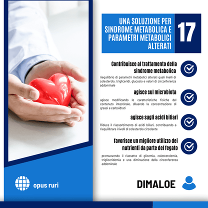 Dimaloe naturocare 90 capsule da 450 mg approccio naturale alle dislipidemie utile per prevenire e curare la Sindrome Metabolica - Opus Ruri