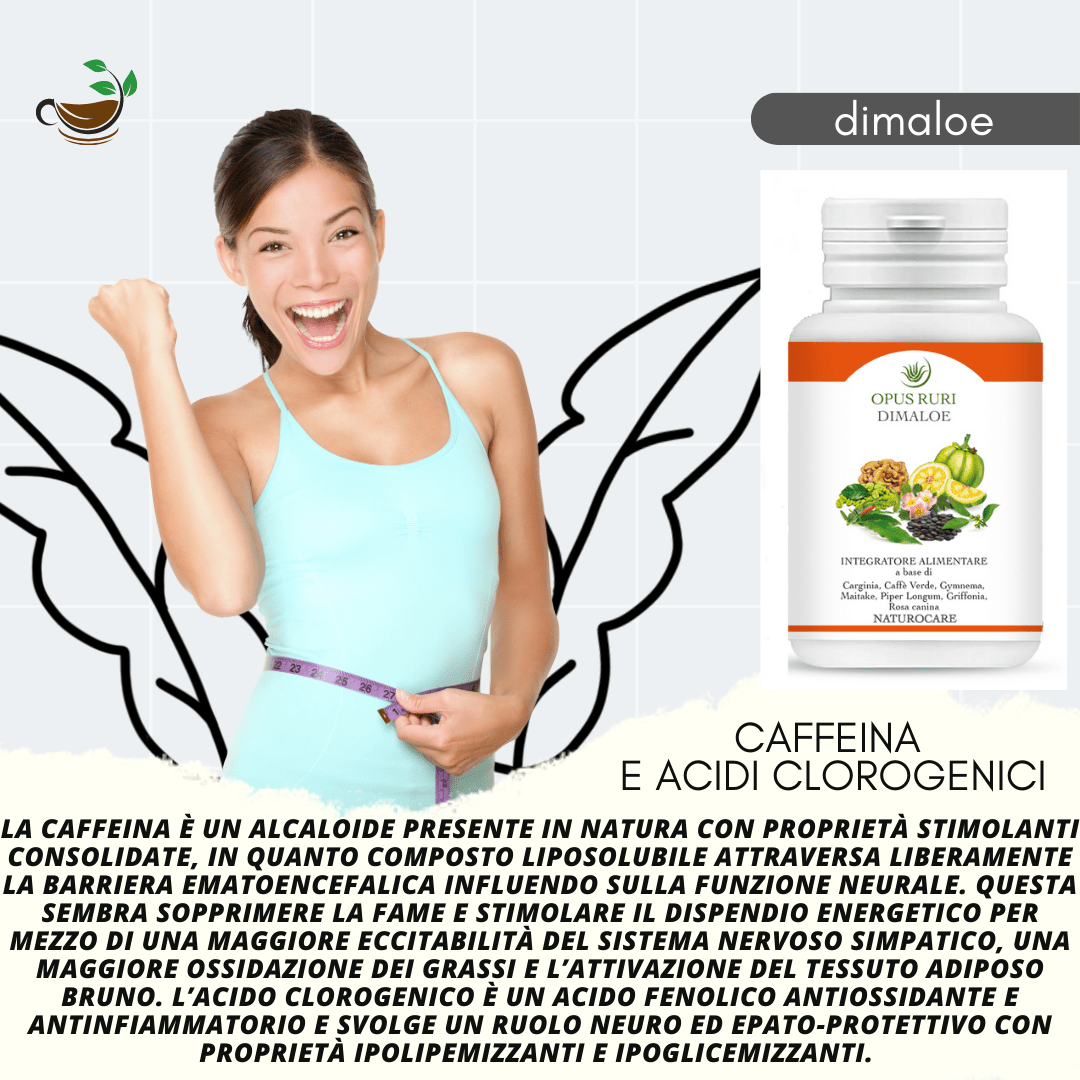 Dimaloe naturocare 90 capsule da 450 mg approccio naturale alle dislipidemie utile per prevenire e curare la Sindrome Metabolica - Opus Ruri