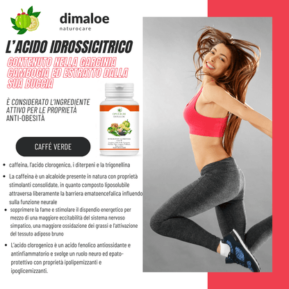 Dimaloe naturocare 90 capsule da 450 mg approccio naturale alle dislipidemie utile per prevenire e curare la Sindrome Metabolica - Opus Ruri