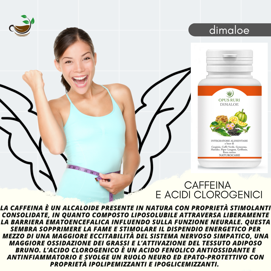 Dimaloe naturocare 90 capsule da 450 mg approccio naturale alle dislipidemie utile per prevenire e curare la Sindrome Metabolica