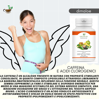 dimaloe naturocare 90 capsules of 450 mg natural approach to dyslipidemia useful for preventing and treating Metabolic Syndrome